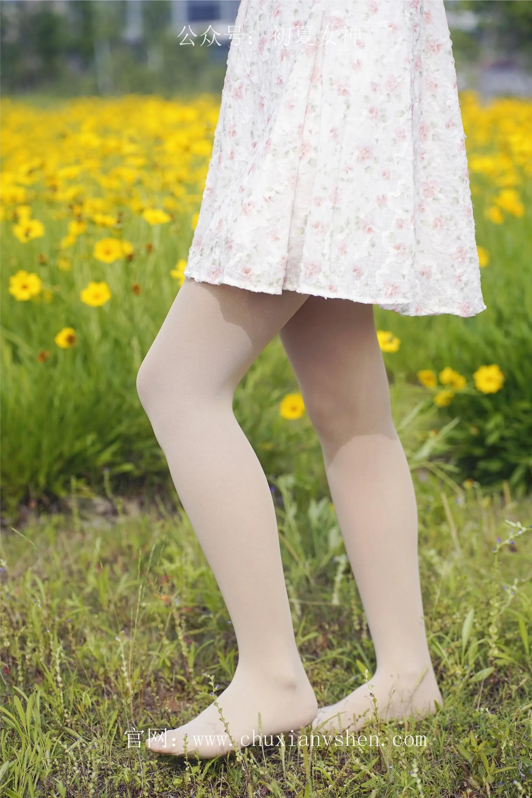初夏女神 NO.070 依依 邻家女孩-风中少女 [122P]插图7